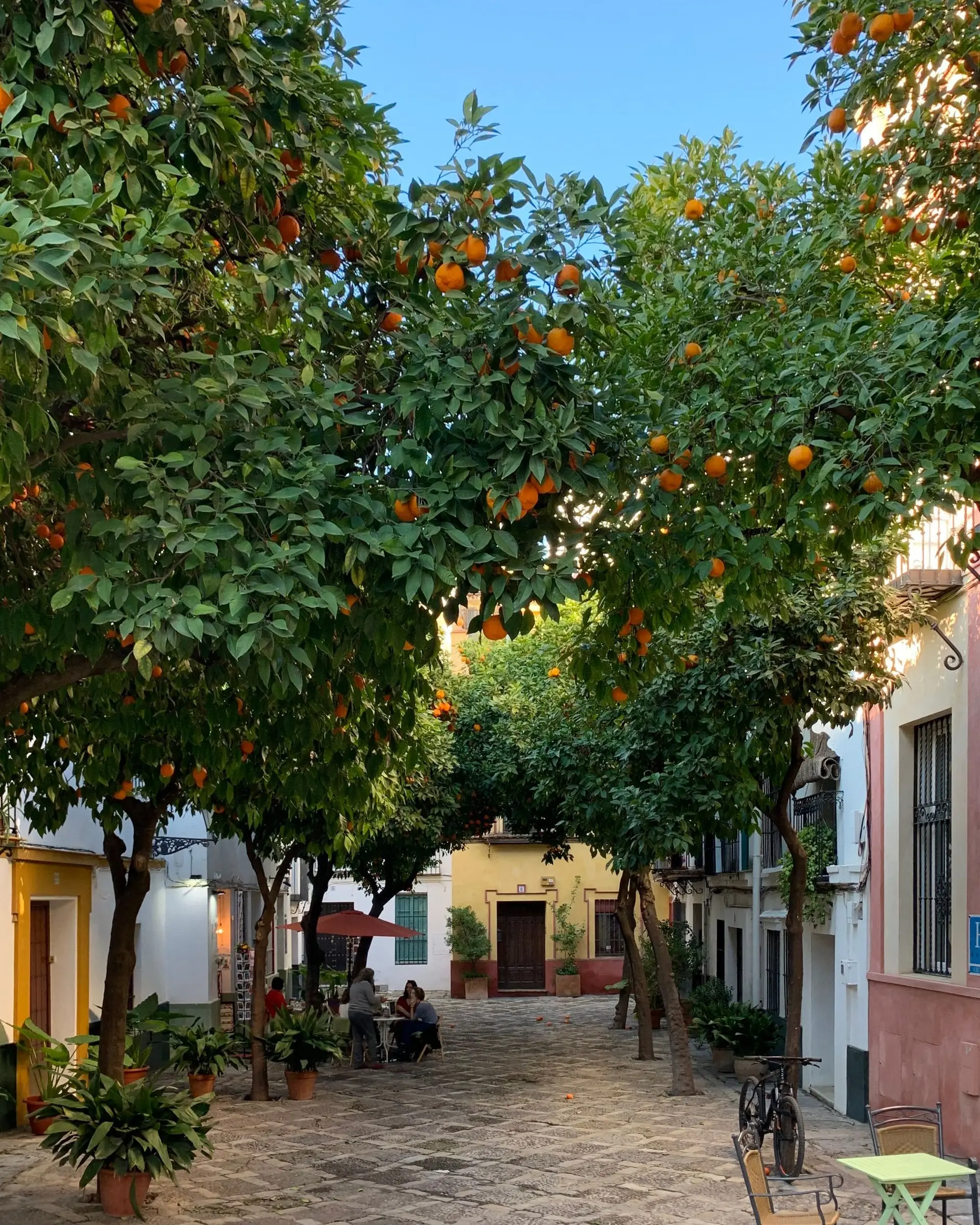 Calle peatonal de Sevilla con naranjos a los lados